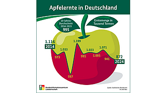 BZL-Infografik: Apfelernte in Deutschland