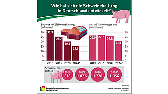 Infografik Wie hat sich in Deutschland die Schweinehaltung entwickelt?