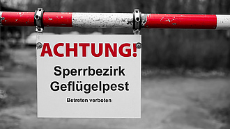 : Ein Warnschild mit der Aufschrift „Achtung Sperrbezirk Geflügelpest“ steht am Rand eines Weges. Das Schild weist auf behördliche Maßnahmen wegen eines Ausbruchs der Vogelgrippe hin.