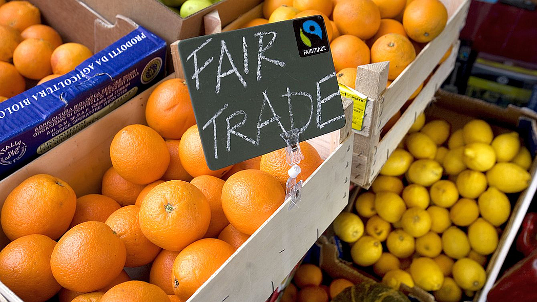 Zitrusfrüchte mit Fairtrade-Siegel.