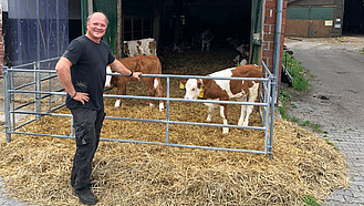 Landwirt mit zwei Kälbern