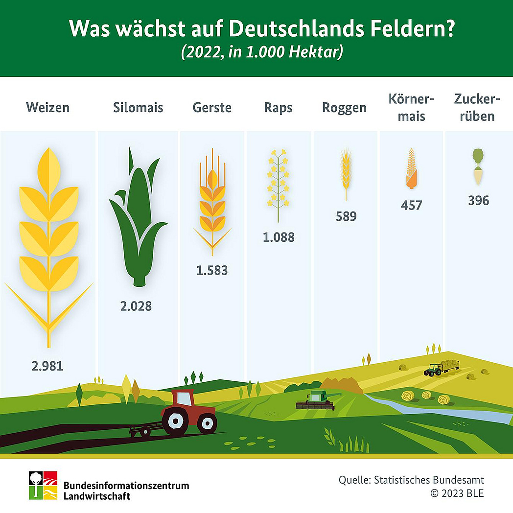 Infografik - Was wächst auf Deutschlands Feldern 2022