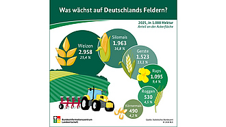Vorschau Infografik "Was wächst auf Deutschlands Feldern?"