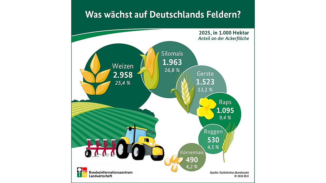 Vorschau Infografik "Was wächst auf Deutschlands Feldern?"