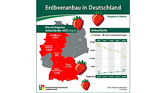 Infografik: Erdbeeranbau in Deutschland