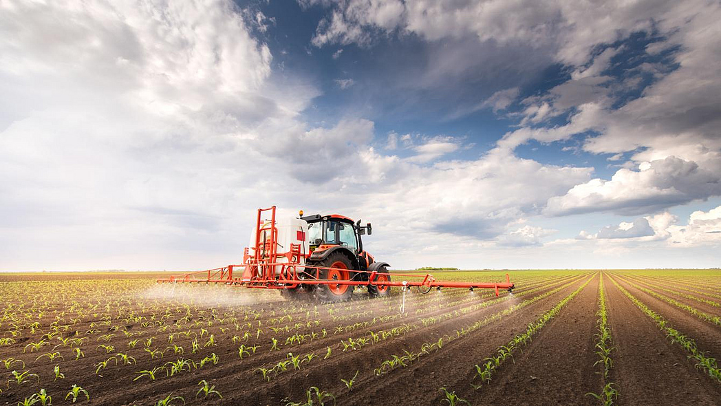 Ein Traktor bringt Pflanzenschutzmittel auf einem Maisfeld aus.