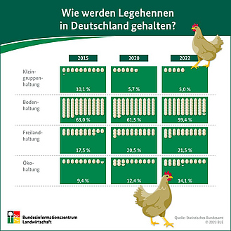 Infografik "Wie werden Legehennen in Deutschland gehalten?"