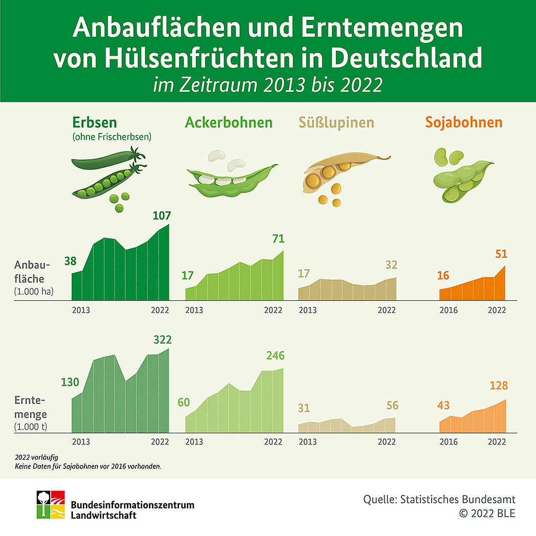 Infografik - Der Anbau und die Erntmengen von Hülsenfrüchten in Deutschland