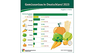 BZL-Infografik: Gemüseanbau in Deutschland 2023