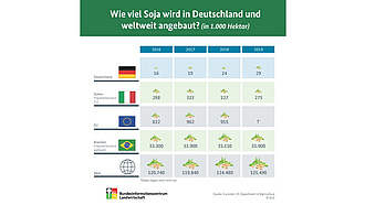 BZL-Infografik: Wie viel Soja wird in Deutschland und weltweit angebaut? (in 1.000 Hektar)