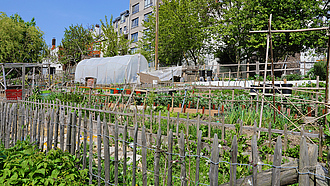 Urbaner Garten
