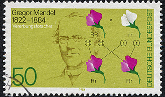 Briefmarke der Deutschen Post, auf der Gregor Mendel abgebildet ist