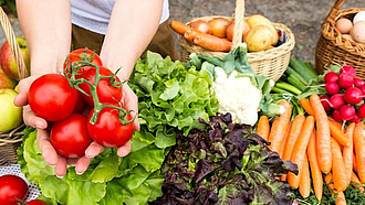 Diverses Gemüse wie Salat, Möhren, Radieschen etc. Zwei Hände halten einige Tomaten.