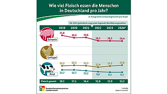 BZL-Infografik: Wie viel Fleisch essen die Menschen in Deutschland pro Jahr?