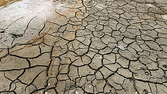 Ausgetrockneter, rissiger Boden in Nahaufnahmen