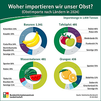 BZL-Infografik: Woher kommt unser Obst? Obstimporte nach Ländern im Jahr 2022