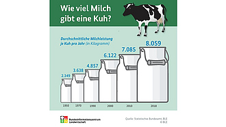 BZL-Infografik: Wie viel Milch gibt eine Kuh?