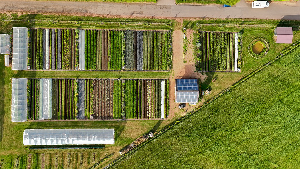 Market Gardening Betrieb aus der Vogelperspektive, sichtbar sind verschiedene Reihen mit Gemüse, einige Gewächshäuser und eine kleine Halle mit Solarpaneelen.