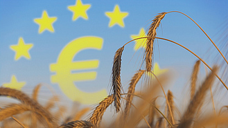 Ähren vor blauem Himmel; im Hintergrund ein Euro-Zeichen
