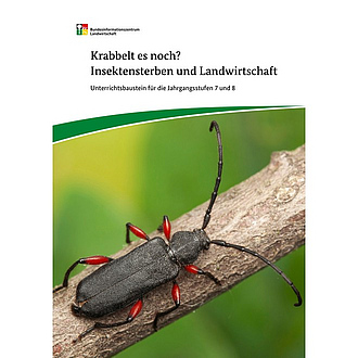 Cover der Broschüre "Krabbelt es noch? Unterrichtsbaustein für die Jahrgangsstufen 7 und 8"