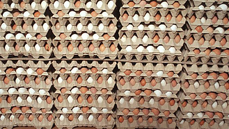 Eier in gestapelten Paletten