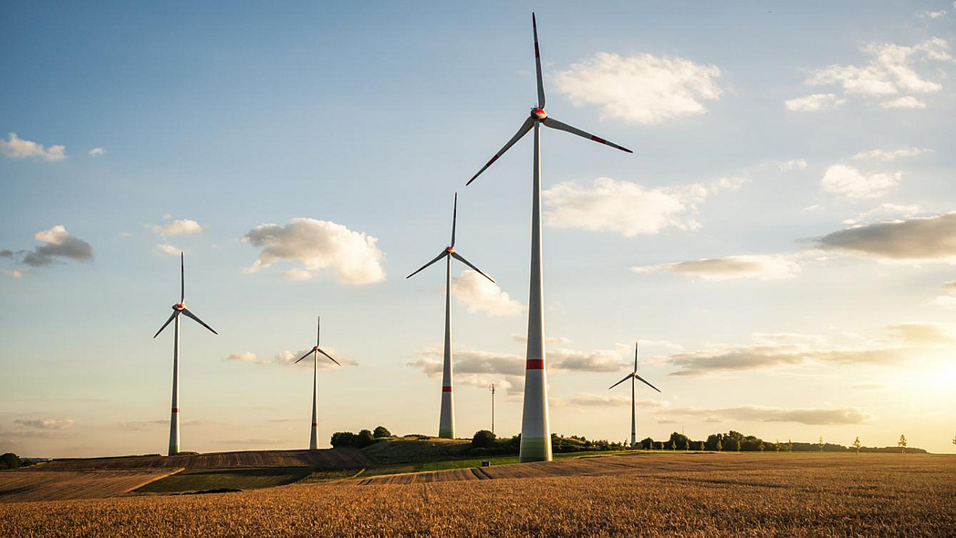 Windräder auf einem Feld