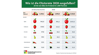 BZL-Infografik: Wie ist die Obsternte 2020 ausgefallen?