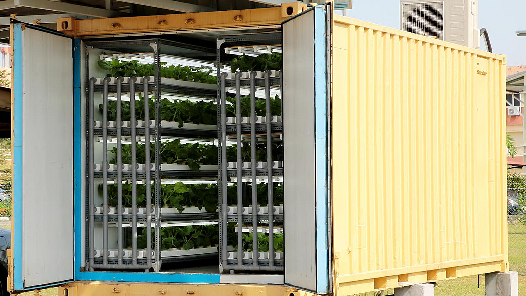 Container mit Pflanzenregalen mit Beleuchtungs- und Bewässerungssystem Container mit Pflanzenregalen mit Beleuchtungs- und Bewässerungssystem