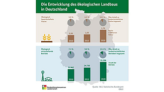 BZL-Infografik: Die Entwicklung des ökologischen Landbaus in Deutschland