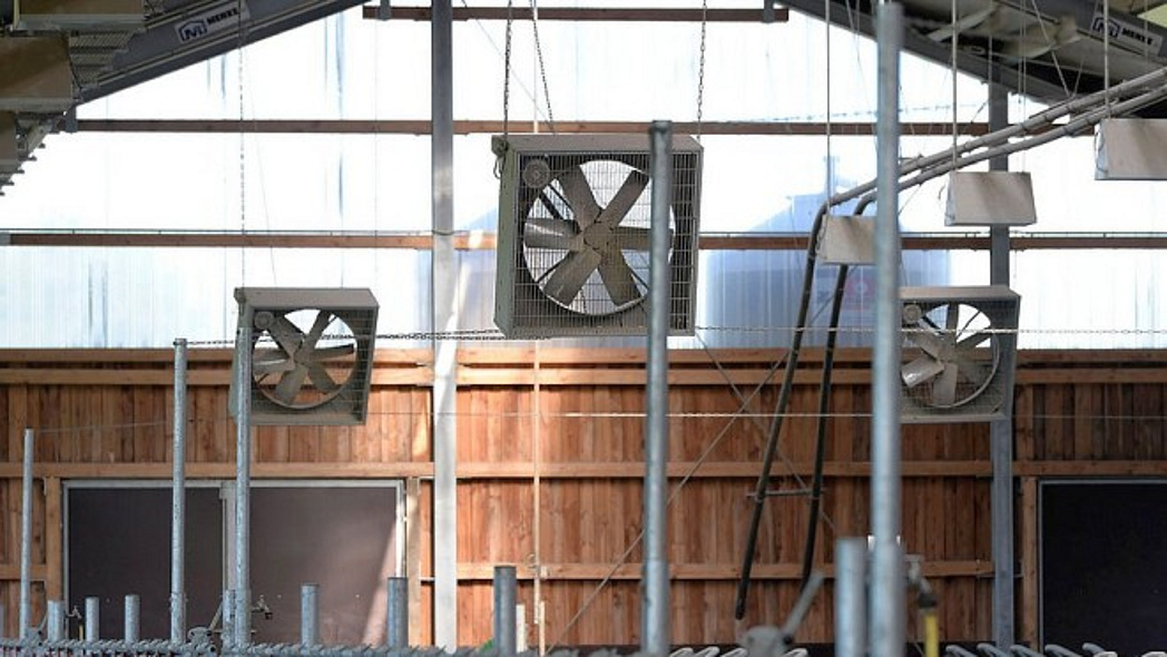 Ventilatoren in einem Milchviehstall.