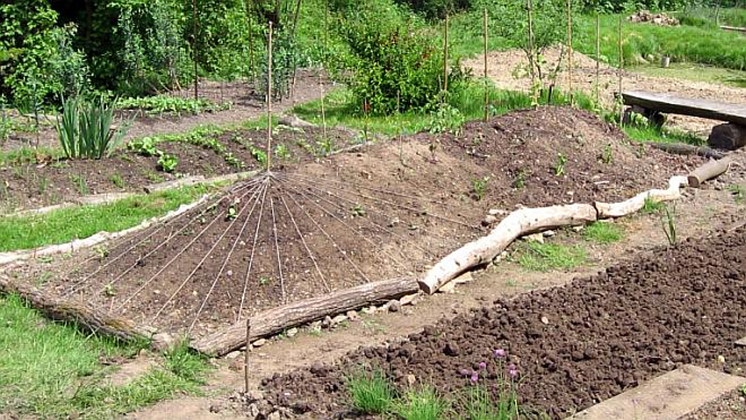 Ein frisch bepflanztes Hügelbeet eingebettet in einen Bauerngarten