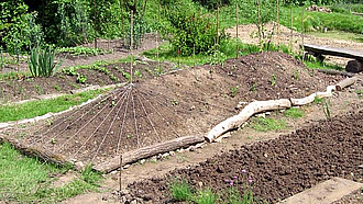 Ein frisch bepflanztes Hügelbeet eingebettet in einen Bauerngarten