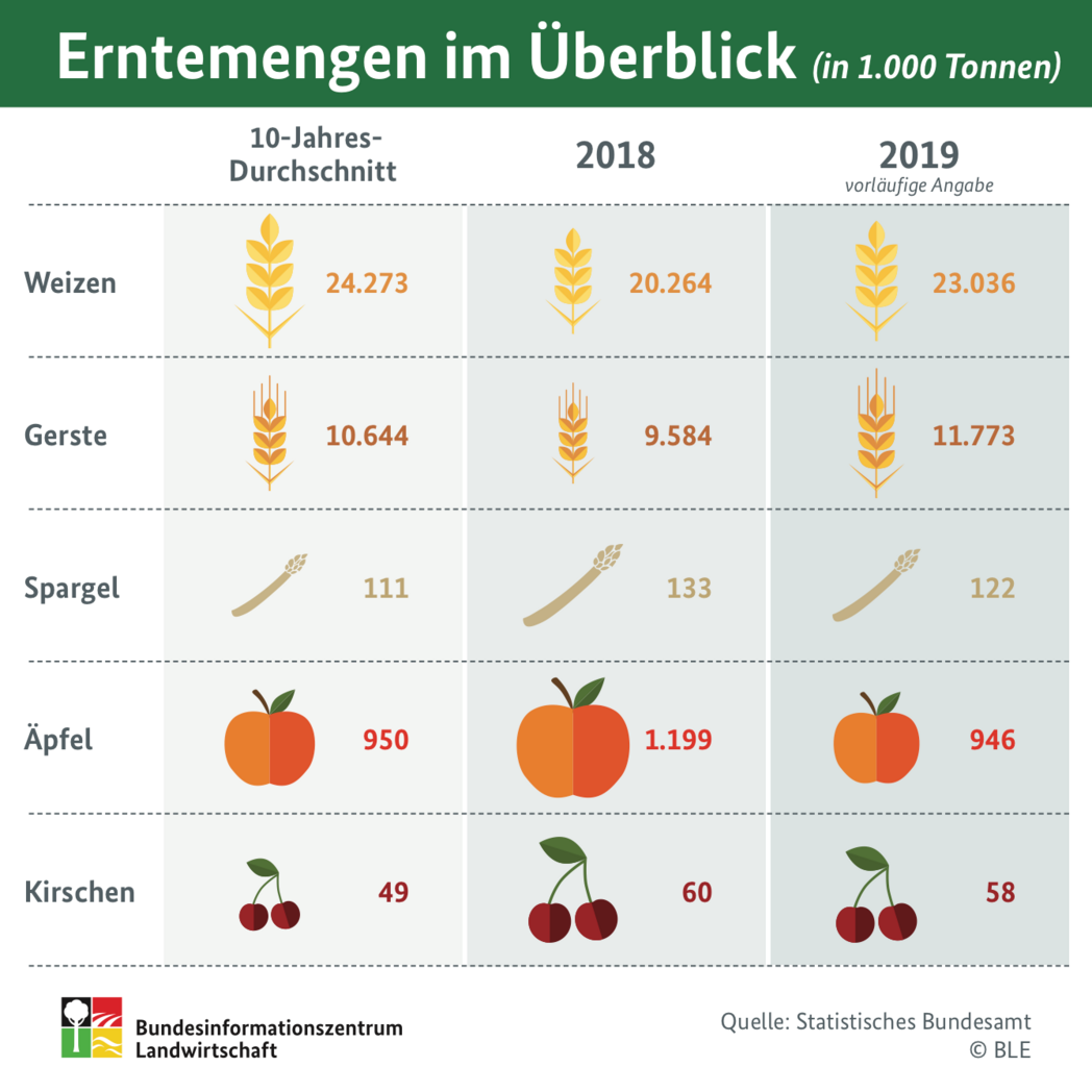 Infografik: Erntemengen im Überblick