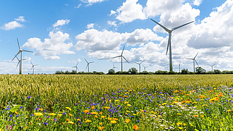 Blühstreifen an Getreidefeld. Im Hintergrund stehen Windräder.