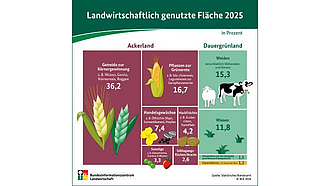 Infografik: Landwirtschaftliche Flächennutzung 2023