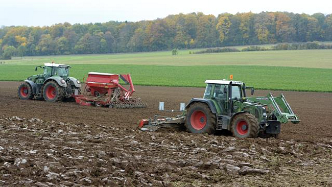 Traktor mit Drillmaschine bei der Aussaat von Winterweizen. Ein weiterer Traktor mit Kurzscheibenegge bereitet das Saatbett vor.