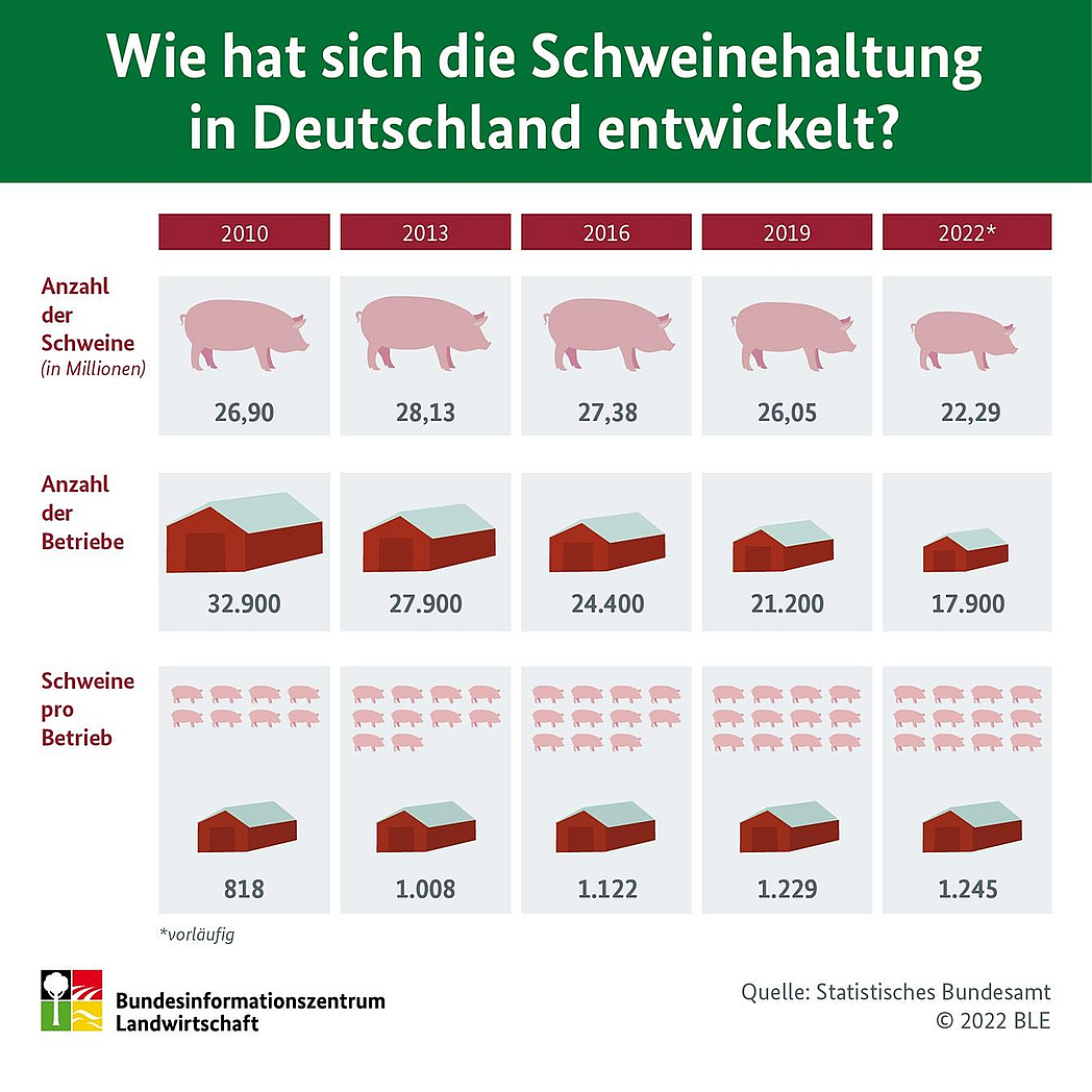Infografik "Wie hat sich die Schweinehaltung in Deutschland entwickelt?"
