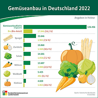 BZL-Infografik: Gemüseanbau in Deutschland 2022