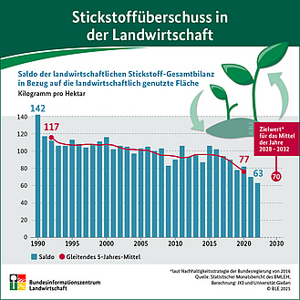 BZL-Infografik: Stickstoffüberschuss in der Landwirtschaft