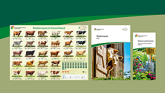 Cover des Rinderrasen-Posters und des Flyers "Wasser und Garten"