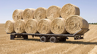 Ein Hänger mit mehreren Stroh-Rundballen steht auf einem Feld.