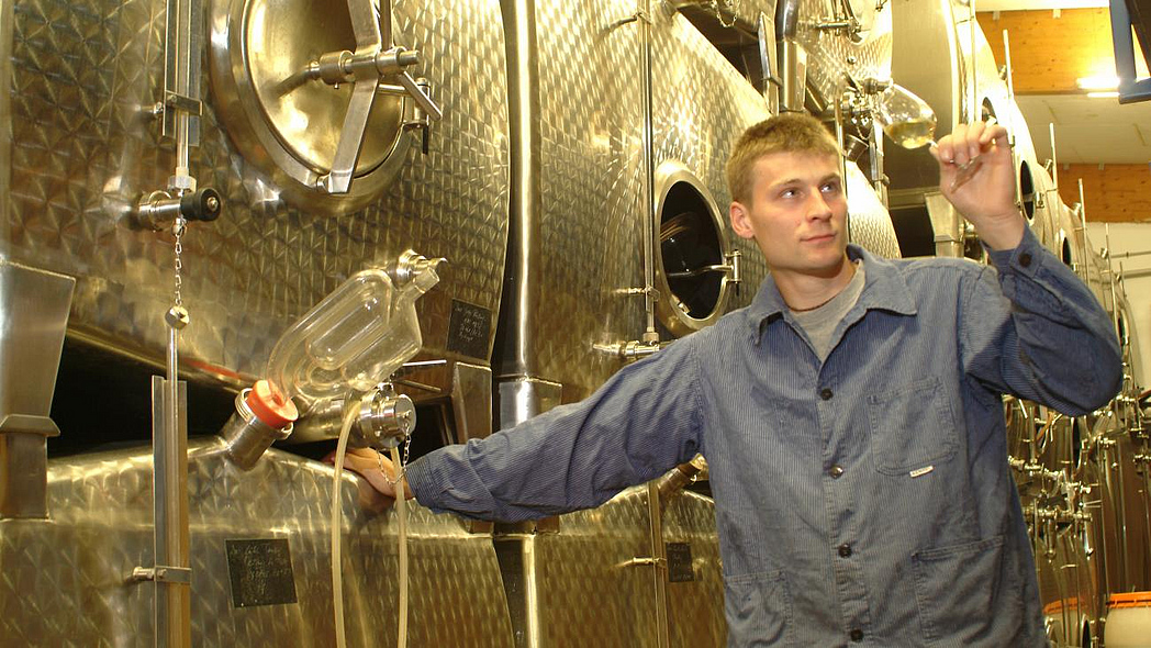 Winzer im Weinkeller hält prüfend ein Glas in der Hand
