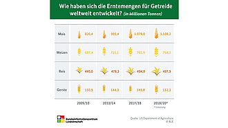 BZL-Infografik: Wie haben sich die Erntemengen für Getreide weltweit entwickelt?