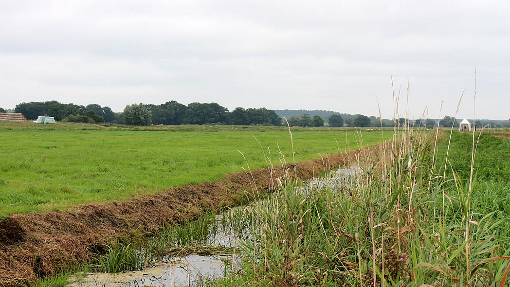 Entwässerungsgraben, neben einer landwirtschaftlichen Nutzfläche
