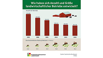 BZL-Infografik: Wie haben sich Anzahl und Größe landwirtschaftlicher Betriebe entwickelt?