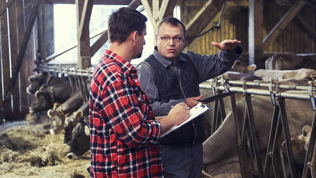 Tierarzt und Landwirt im Kuhstall