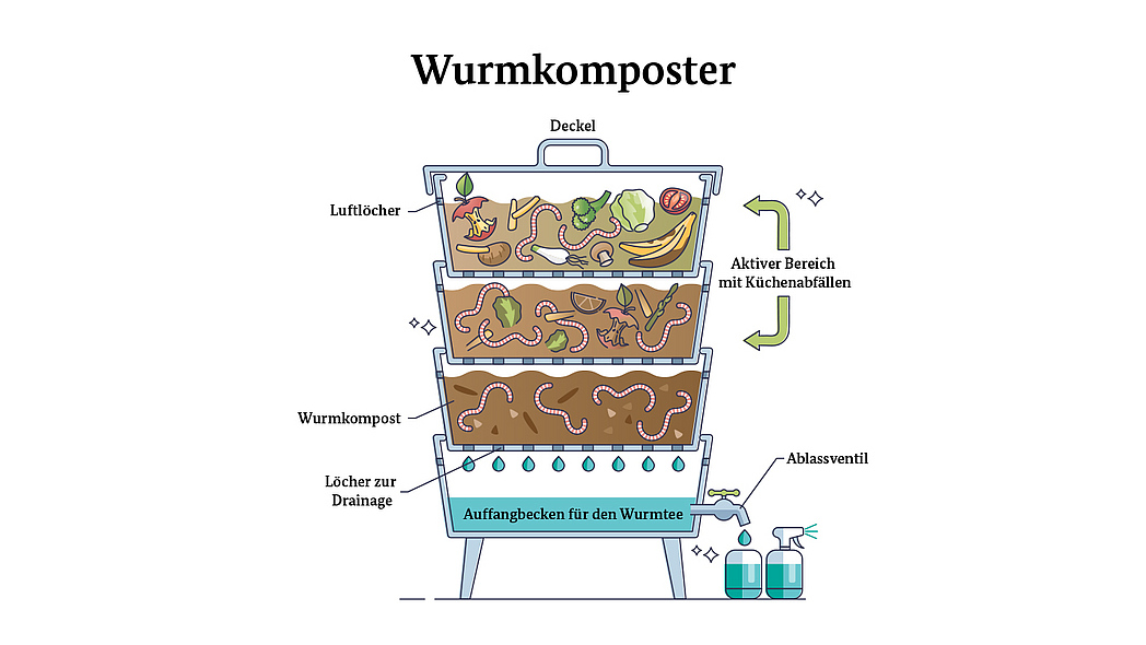 Schematische Darstellung eines Wurmkomposters