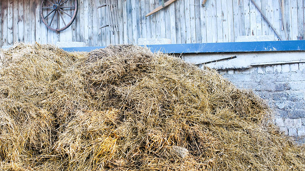 Misthaufen vor einem landwirtschaftlichen Gebäude