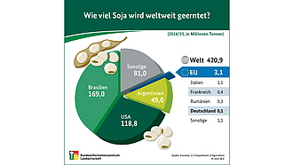 BZL-Infografik: Wie viel Soja wird weltweit geerntet?