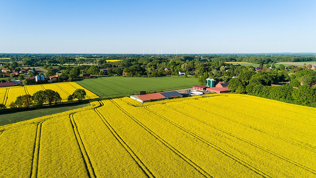 Luftaufnahme von Rapsfeldern, Höfen und Wäldern.